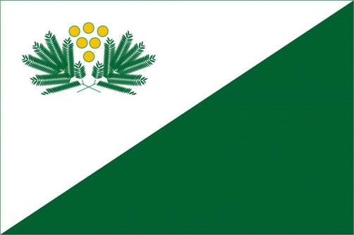 Bandera de San Isidro